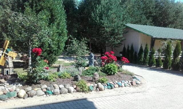 Mustvee Creek Cottage מראה חיצוני תמונה