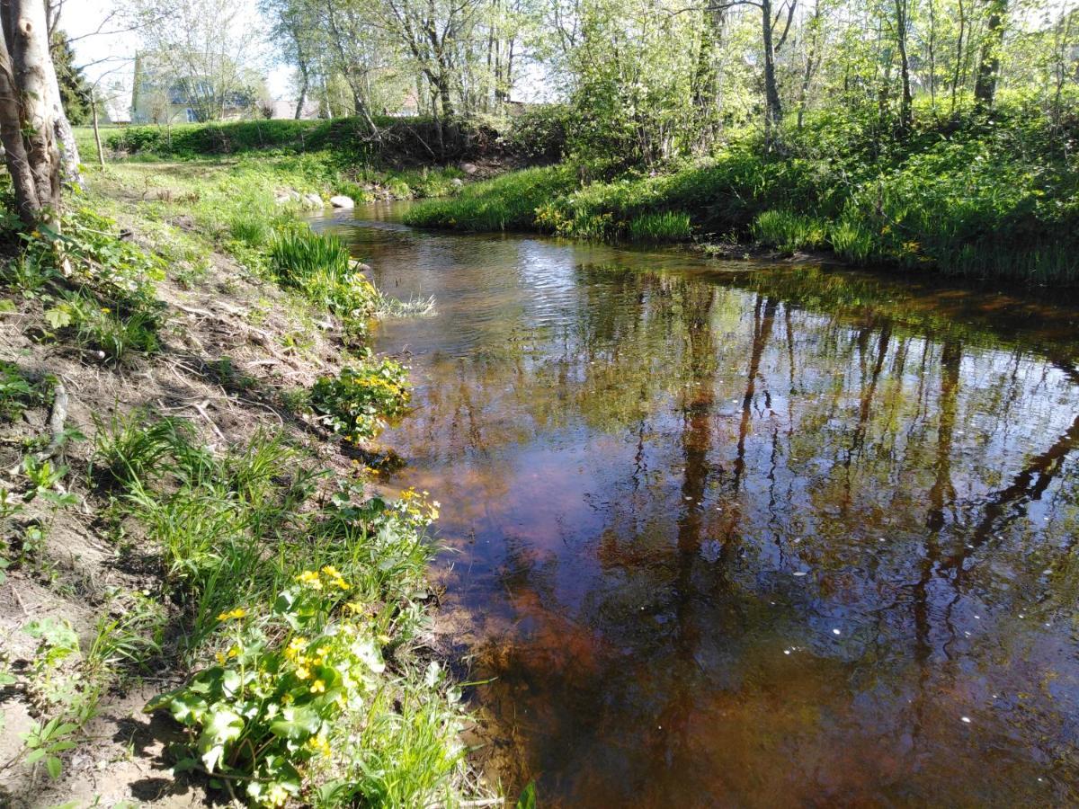 Mustvee Creek Cottage מראה חיצוני תמונה