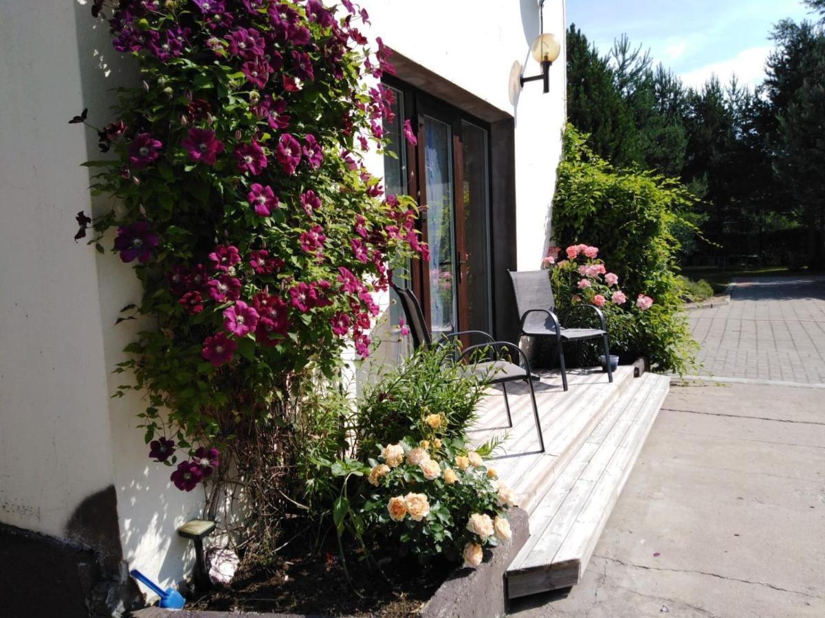Mustvee Creek Cottage מראה חיצוני תמונה