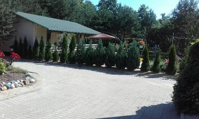 Mustvee Creek Cottage מראה חיצוני תמונה